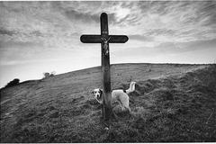 Jeden den České republiky