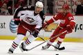 Columbus - Detroit: Hejda, Chelios