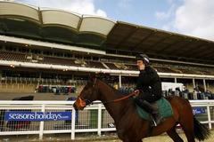 Dostihový Cheltenham Festival