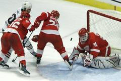 Jiří Hudler a Robert Lang