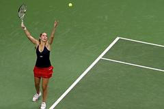 Fed Cup - Nicole Vaidišová