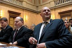 Ústavní soud - Julínek