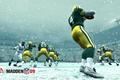 Madden 09
