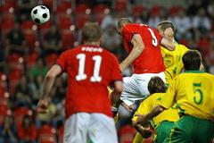 ČR - Litva (Jan Koller)