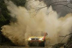 Středoevropské Rally