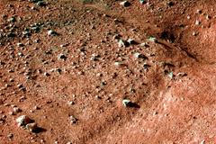 První snímky ze Sondy Phoenix