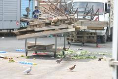 Zeleninová tržnice po akci