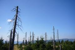 Krkonoše po sto letech 7