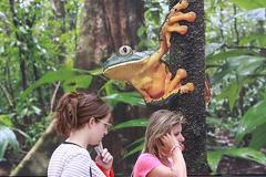 Zvířata na náměstí