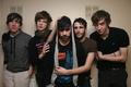 Foals