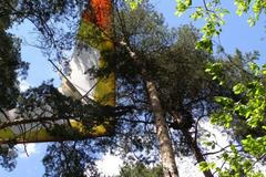 Pád rogala u Plzně