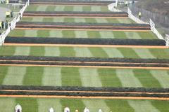 Velká liverpoolská