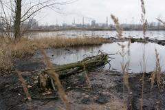 Olejové laguny Diamo v Ostravě