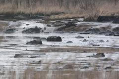 Olejové laguny Diamo v Ostravě
