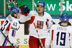 Česko - Dánsko: Kotalík