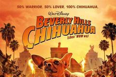 Beverly Hills Chihuahua - čivava