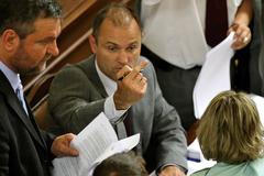 Poslanecká sněmovna - Langer