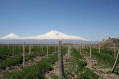 Ararat