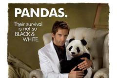 tropická bouře, tropic thunder - net, web