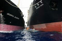 Loď Greenpeace proti velrybaření