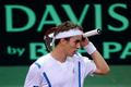 Davis Cup