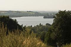 Medůzy ve štěrkovně