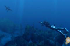 Tomb Raider: Underworld