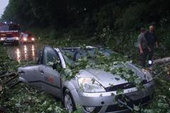 Strom spadl na auto