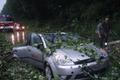 Strom spadl na auto