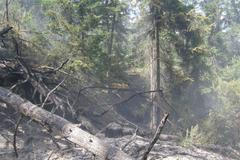 Požár v Kyjovském údolí v Národním parku České Švýcarsko