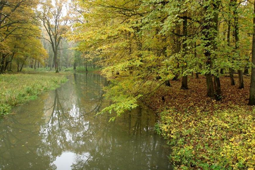Do Dyje unikly z farmy zvířecí výkaly, blíží se ke znojemské vodárenské nádrži