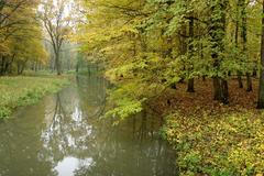 Lužní lesy na soutoku Moravy a Dyje