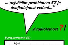 Volební plakát Dany Kuchtové