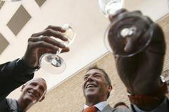 Rakousko Petzner Haider