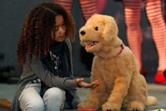 Hračky pro Vánoce 2008