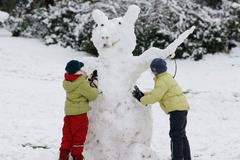 Sněhulák v Německu