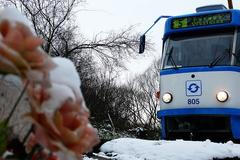 Linka číslo 5 v Ostravě