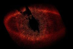 Záběry NASA ukazují planetu, která leží mimo Sluneční soustavu