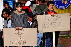 Extremisté v Litvínově