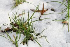 první sníh v praze