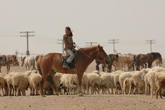 Mongolsko před volbami 2008