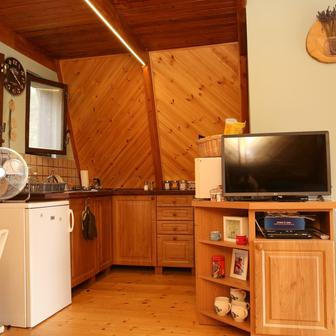 Václav Upír Krejčí