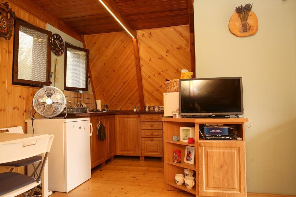 Václav Upír Krejčí