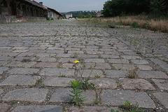 Bubny nádraží stavební parcela