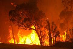 požáry v Austrálii