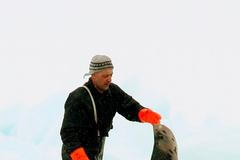 Masakr tuleňů v Kanadě pokračuje i letos