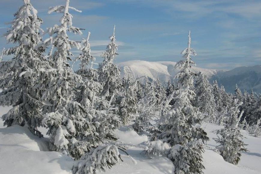 Česko čekají další dvě mrazivé noci, teploty klesnou pod minus 12 stupňů