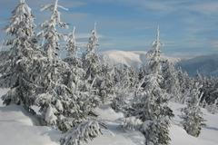 Mráz v Krkonoších