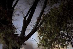 Hasiči likvidují na předměstí Buffala požár po pádu letadla