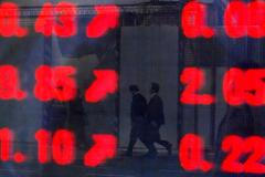 Investice a investoři